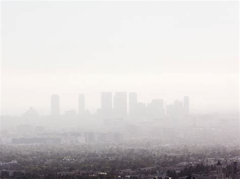 What Does Ozone Smell Like? - Molekule