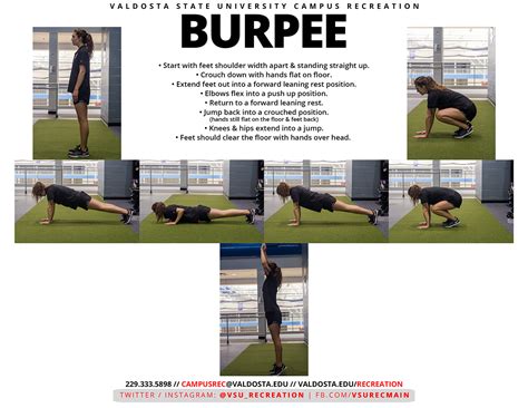 Image result for Burpee Example