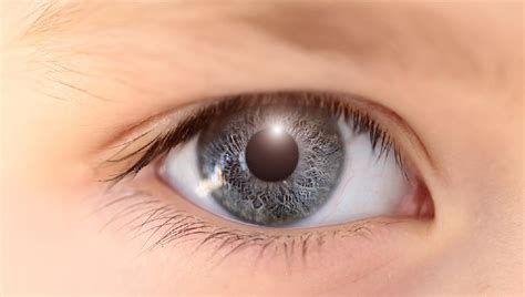 右眼跳是怎么回事 右眼跳预示着什么-眼科其他眼病-复禾健康