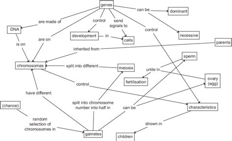 Image result for Genetic Engineering Concept Map