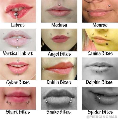 Lip Piercing Types Of Jewelry