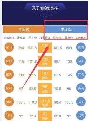 智学网如何查询班级排名_360新知