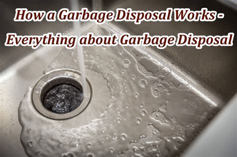 Image result for How Does the Garbage Disposal Work