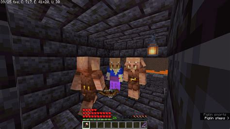 How to Control Mobs in Minecraft Java 的图像结果