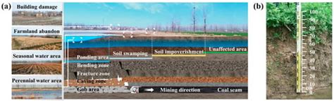 Integrated Mining and Reclamation Practices Enhance Sustainable Land ...