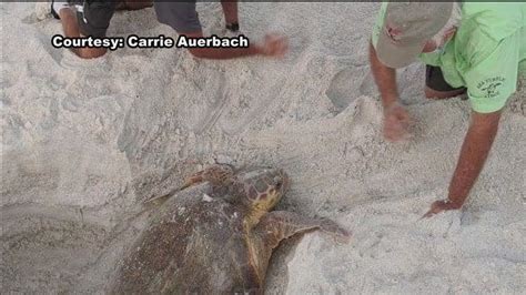 Huge holes causing concern along Pinellas County beaches | FOX 13 Tampa Bay
