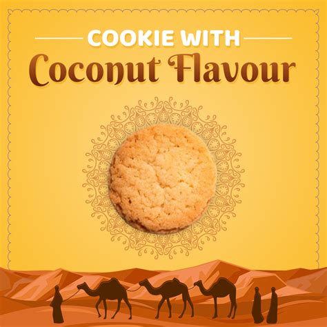 Apollo Coconut Cookies 275gm – Apollo India