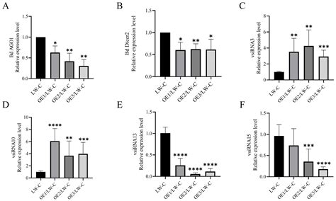 BdCV1-Encoded P3 Silencing Suppressor Identification and Its Roles in ...