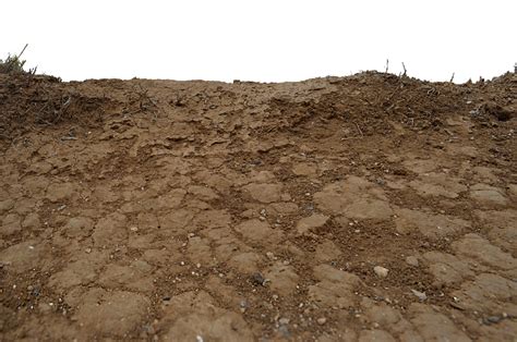 Image result for Soil Code