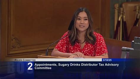 Abby Cabrera - Sugary Drinks Tax Committee Reappointment - YouTube