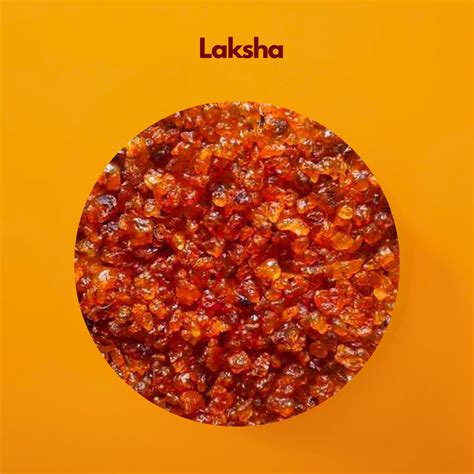 Laksha Whole (Lakh) for Cosmetic Use – Cosmesi Global