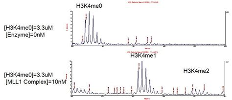 Recombinant KMT2A (MLL1) complex | Proteintech
