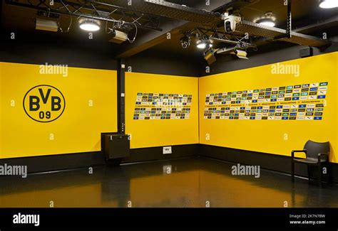 Interview Guide Symbol 的图像结果