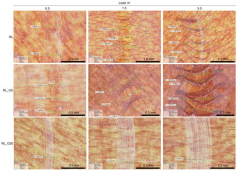 Tailored Biobased Resins from Acrylated Vegetable Oils for Application ...