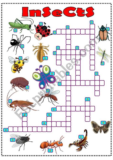 insects crossword - ESL worksheet by LILIAAMALIA