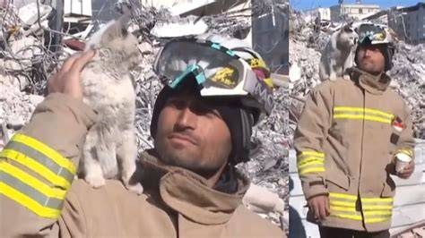 Cat rescued from rubble in Turkey; refuses to leave rescuer