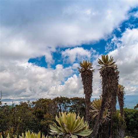 PARQUE ECOTURISTICO LOS CURRUCUYES (2024) All You Need to Know BEFORE ...