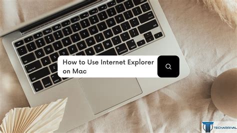 Internet Explorer 8 Mac 的图像结果