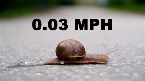 Snail Speed | Support for Moms - Power of Moms