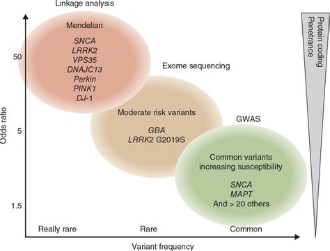 Parkinson's Disease Genetic Testing at Toby Mcintosh blog