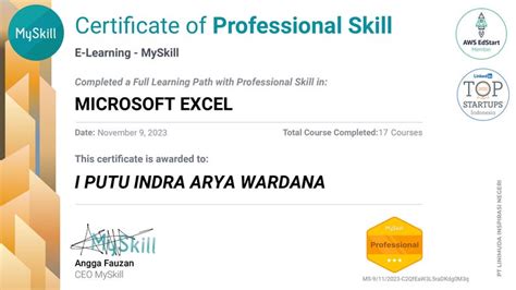Certificate of Professional Skill in Microsoft Excel | Freelancer