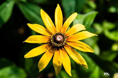 Image result for Basic Machine Learning Application Design Sample
