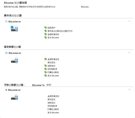 BitLocker Driver 的图像结果