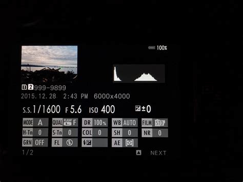 Raw Image Format 的图像结果