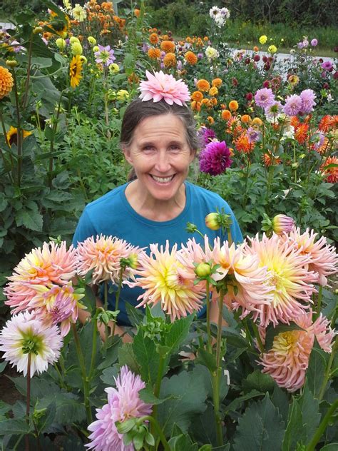 How to Grow: Dahlias- planting dahlia bulbs- growing dahlias | Planting ...