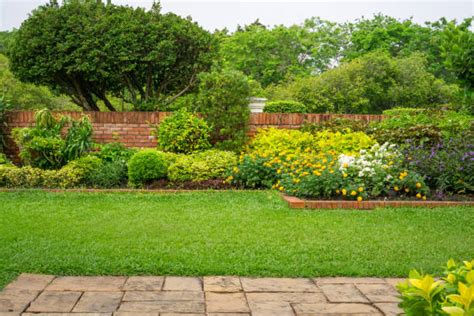 Setback Gardens , Best Builder Floor Apartment in Chennai l Live Homes
