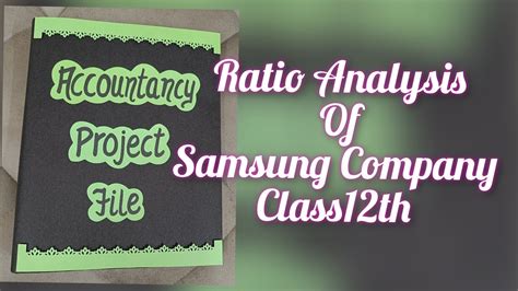 Accountancy Project Class 12 Ratio Analysis 的图像结果