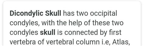 Example of dicondylic skull - Brainly.in