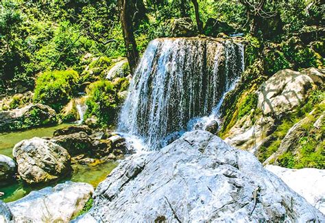 Day Visit To Kempty Fall - Today’s offer Rs.NaN ( NaN % off)