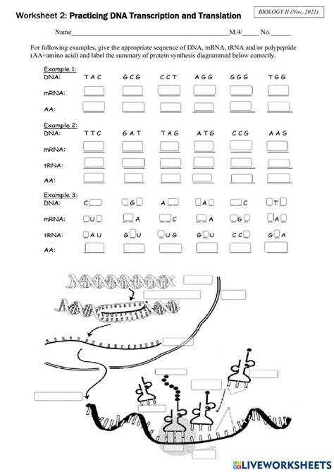 Translation Practice Worksheet 的图像结果