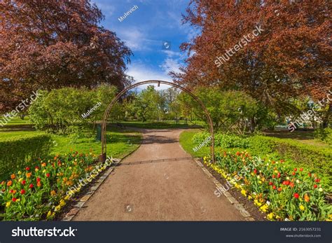 15,297 Rain In Bed Images, Stock Photos, 3D objects, & Vectors | Shutterstock