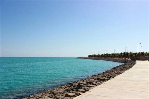 Image result for Saudi CWC