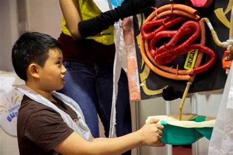 Image result for Digestive System Model BBC