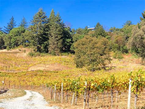 David Bruce Winery – Roadside Secrets