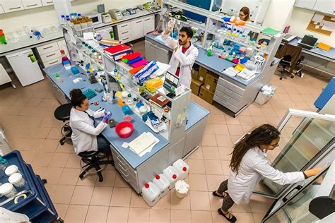 Koc University Office Photos