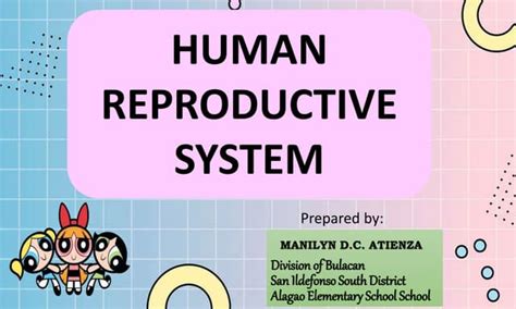 Image result for Life Science Human Reproduction System