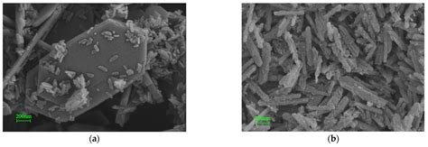 Mechanistic Study of the Influence of Reactant Type and Addition ...