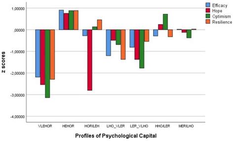 Teacher Profiles of Psychological Capital and Their Relationship with ...
