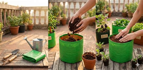 How to Fill and Set Up Grow Bags for a Balcony Garden | Anandi Greens ...