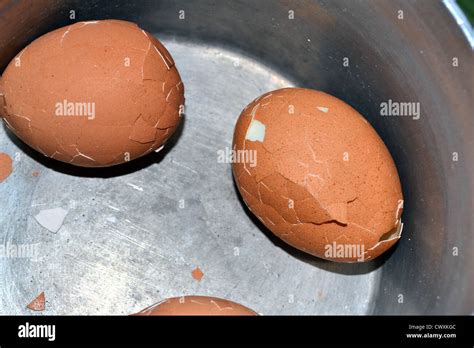 Exploding Hard Boiled Egg 的图像结果