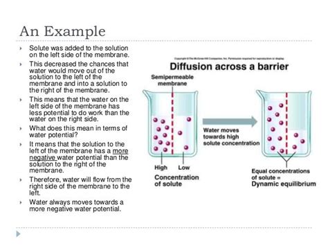 Image result for Water Potential Explained