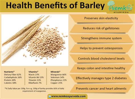 Health Benefits Of Barley | Barley health benefits, Barley benefits, Barley