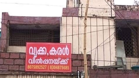 Kidney, liver for sale! Family feud real reason behind this widely ...