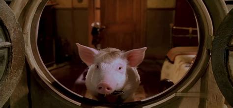 [电影]《小猪宝贝2：小猪进城》1080p|4k高清-迅雷BT下载网