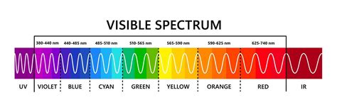 Visible Light Spectrum Vector Art, Icons, and Graphics for Free Download