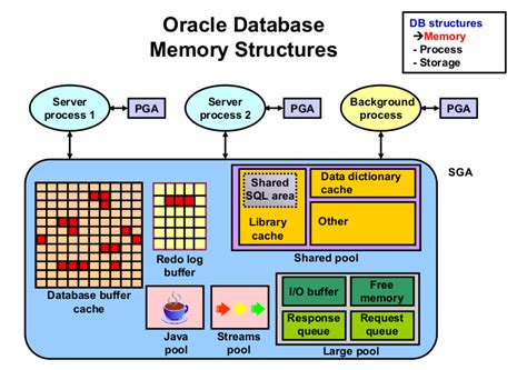 DBMS Programs Oracle Database 的图像结果
